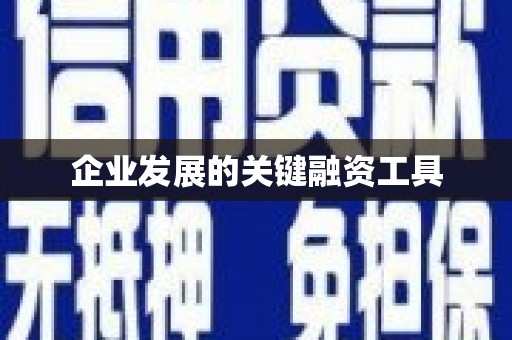施秉企业发展的关键融资工具