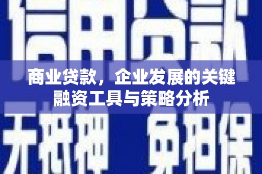 施秉商业贷款，企业发展的关键融资工具与策略分析