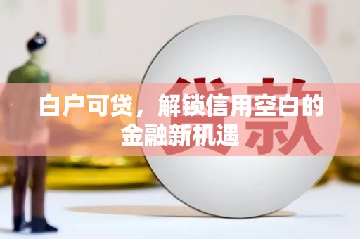 施秉白户可贷，解锁信用空白的金融新机遇