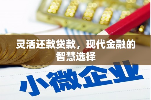 施秉灵活还款贷款，现代金融的智慧选择