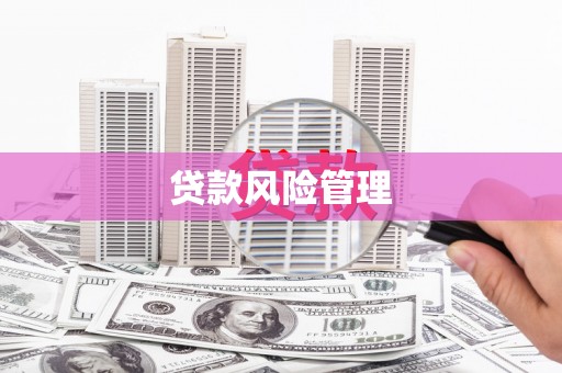 施秉贷款风险管理