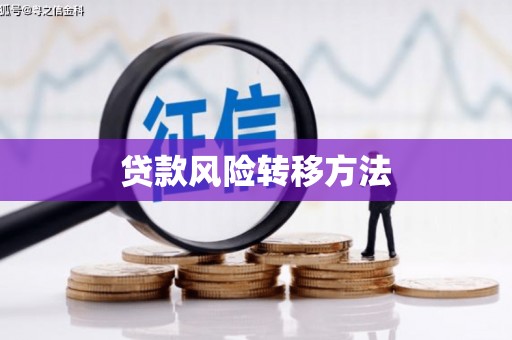 施秉贷款风险转移方法