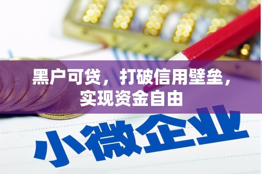 施秉黑户可贷，打破信用壁垒，实现资金自由