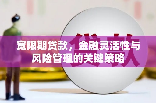 施秉宽限期贷款，金融灵活性与风险管理的关键策略