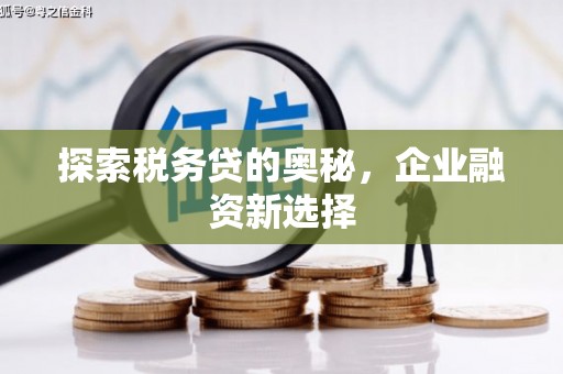 施秉探索税务贷的奥秘，企业融资新选择