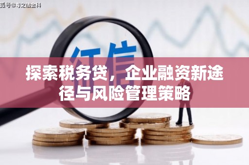 施秉探索税务贷，企业融资新途径与风险管理策略