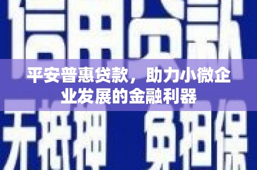 施秉平安普惠贷款，助力小微企业发展的金融利器