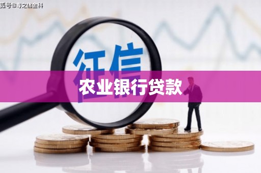 施秉农业银行贷款