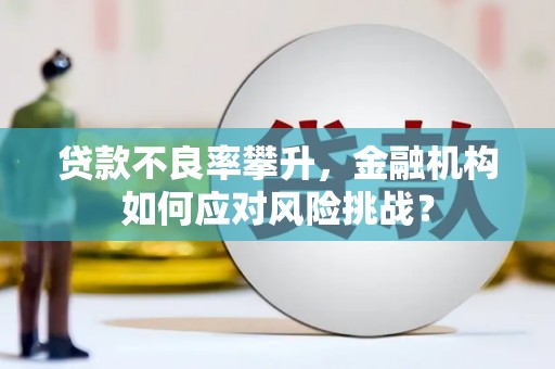 施秉贷款不良率攀升，金融机构如何应对风险挑战？