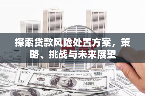 施秉探索贷款风险处置方案，策略、挑战与未来展望