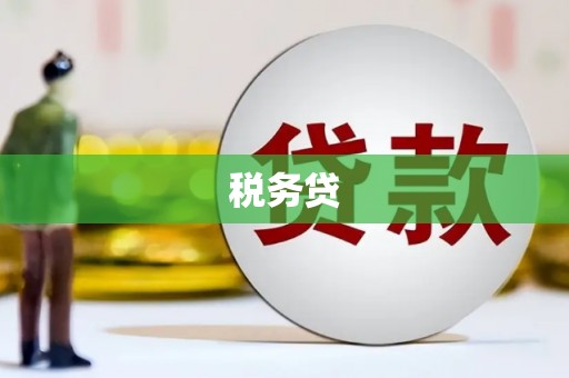 施秉税务贷