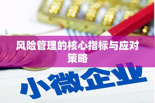 施秉风险管理的核心指标与应对策略