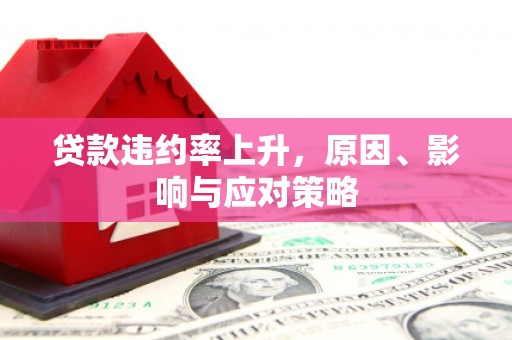 施秉贷款违约率上升，原因、影响与应对策略