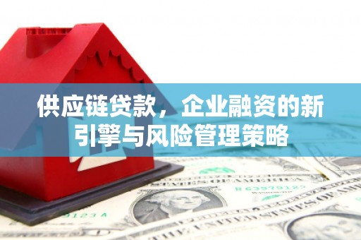 施秉供应链贷款，企业融资的新引擎与风险管理策略
