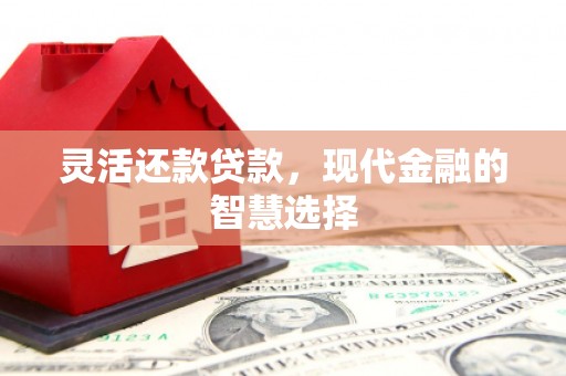 施秉灵活还款贷款，现代金融的智慧选择