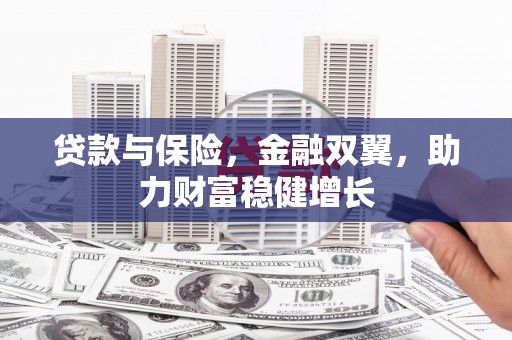 施秉贷款与保险，金融双翼，助力财富稳健增长