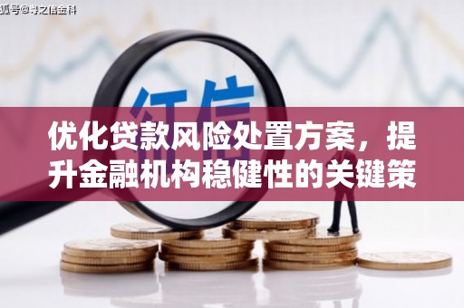 施秉优化贷款风险处置方案，提升金融机构稳健性的关键策略