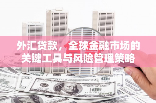 施秉外汇贷款，全球金融市场的关键工具与风险管理策略