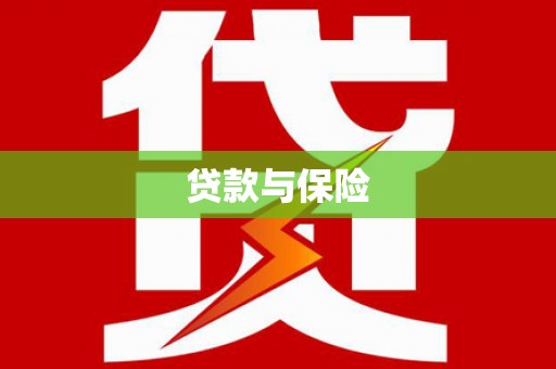 施秉贷款与保险