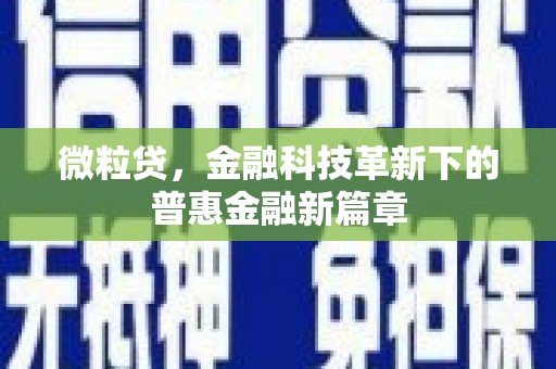 施秉微粒贷，金融科技革新下的普惠金融新篇章