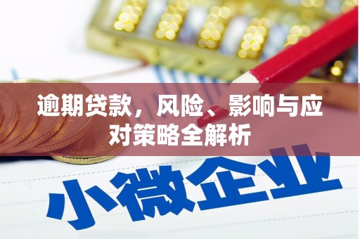 施秉逾期贷款，风险、影响与应对策略全解析