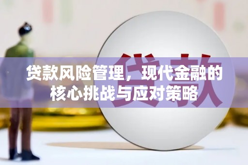 施秉贷款风险管理，现代金融的核心挑战与应对策略