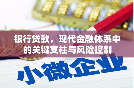 施秉银行贷款，现代金融体系中的关键支柱与风险控制