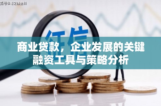 施秉商业贷款，企业发展的关键融资工具与策略分析