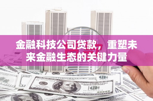 施秉金融科技公司贷款，重塑未来金融生态的关键力量