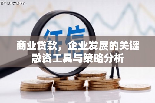施秉商业贷款，企业发展的关键融资工具与策略分析