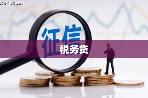 施秉税务贷