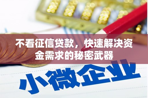 施秉不看征信贷款，快速解决资金需求的秘密武器