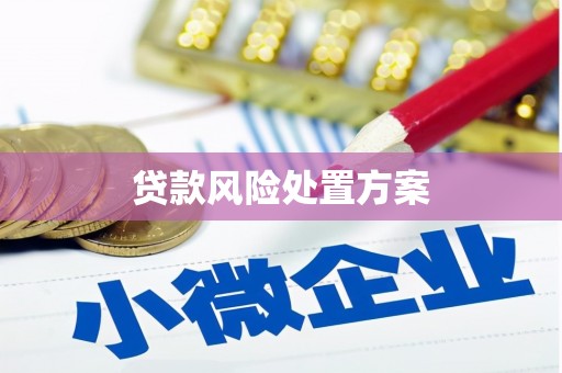 施秉贷款风险处置方案
