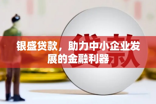 施秉银盛贷款，助力中小企业发展的金融利器