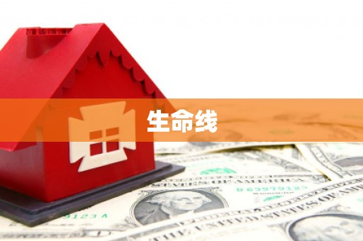 施秉生命线