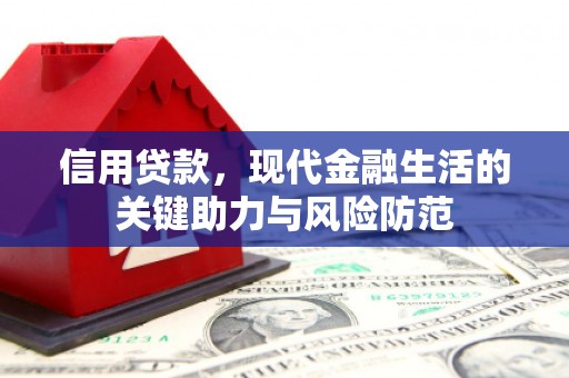 施秉信用贷款，现代金融生活的关键助力与风险防范