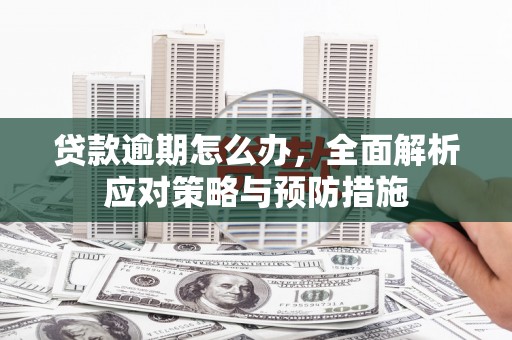 施秉贷款逾期怎么办，全面解析应对策略与预防措施
