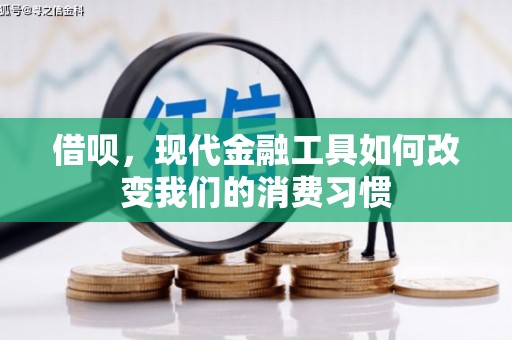 施秉借呗，现代金融工具如何改变我们的消费习惯