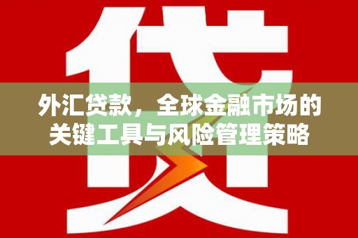 施秉外汇贷款，全球金融市场的关键工具与风险管理策略