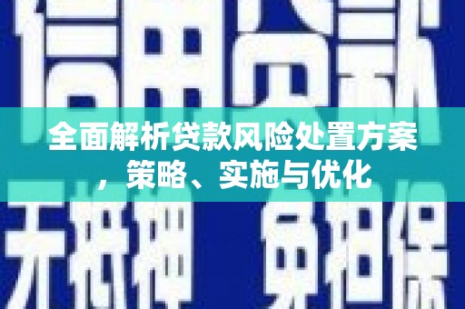 施秉全面解析贷款风险处置方案，策略、实施与优化
