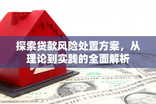 施秉探索贷款风险处置方案，从理论到实践的全面解析