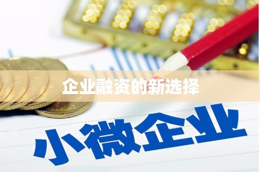 施秉企业融资的新选择