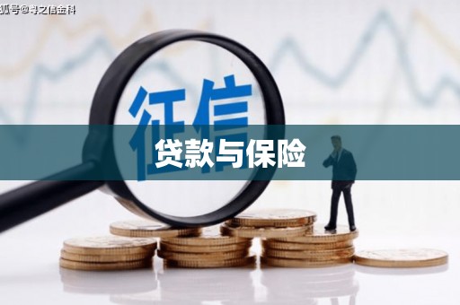 施秉贷款与保险