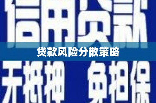 施秉贷款风险分散策略