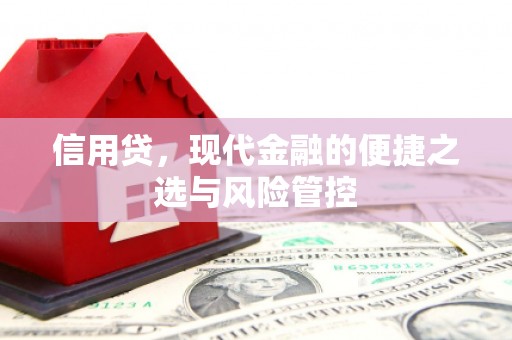 施秉信用贷，现代金融的便捷之选与风险管控