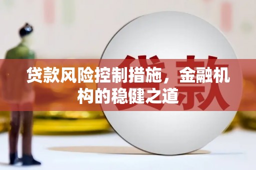 施秉贷款风险控制措施，金融机构的稳健之道