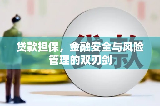 施秉贷款担保，金融安全与风险管理的双刃剑