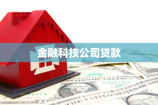 施秉金融科技公司贷款