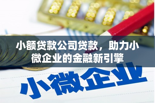 施秉小额贷款公司贷款，助力小微企业的金融新引擎