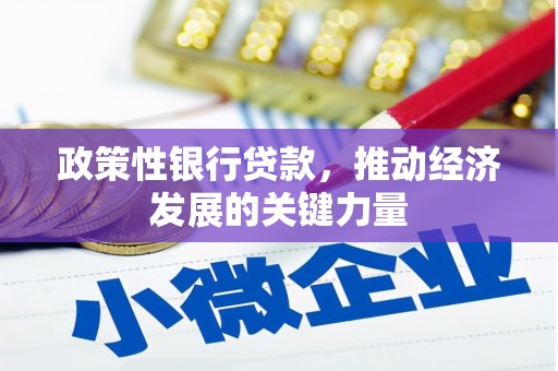 施秉政策性银行贷款，推动经济发展的关键力量